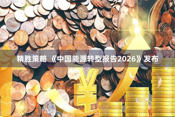 精胜策略 《中国能源转型报告2026》发布